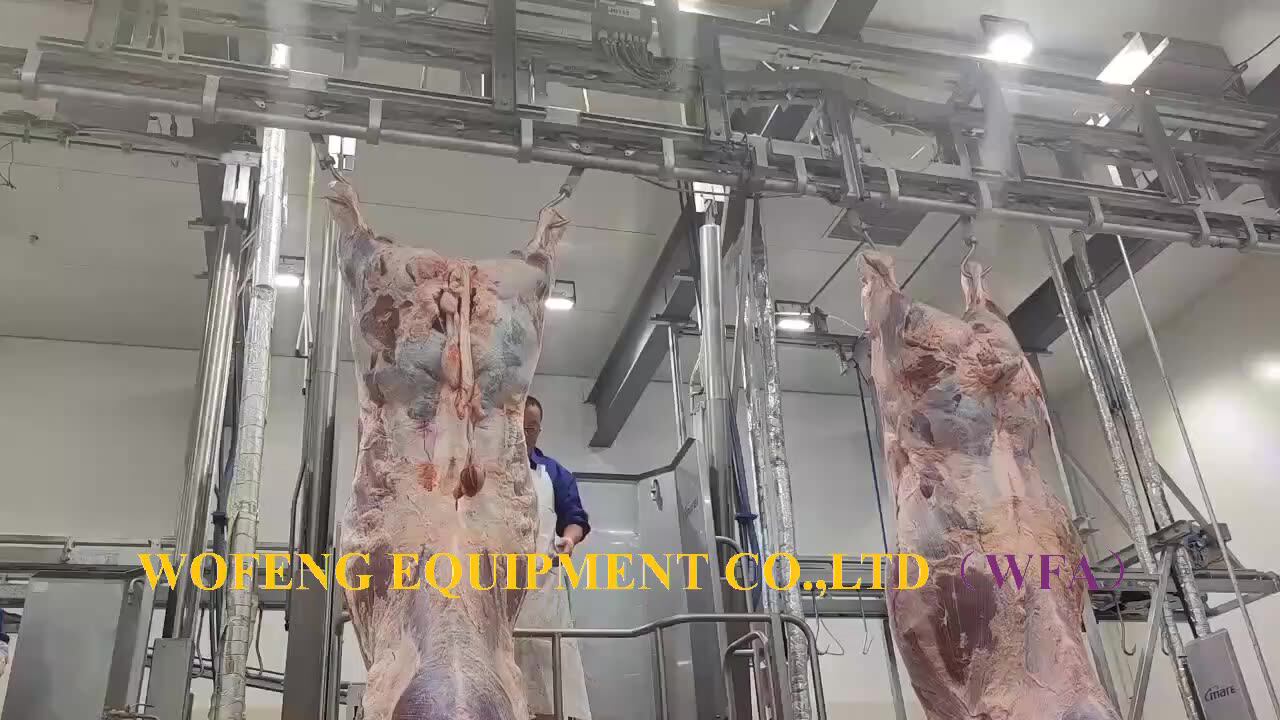 Humane 10 Cattle Slaughterhouse Abattoir Cow Slaughtering Line For
