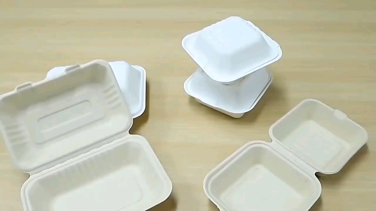 Eco Bagasse Togo Disposable Microwavable Lunch Containers Box 6" Compostable Burger Takeout