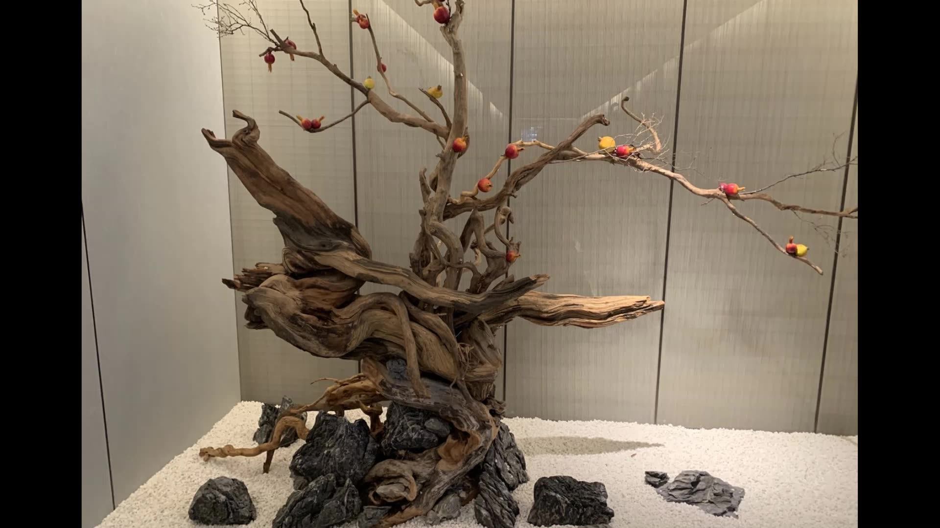 Hot Sale Tree Root Driftwood Nature For Aquarium Landscaping Buy Hot