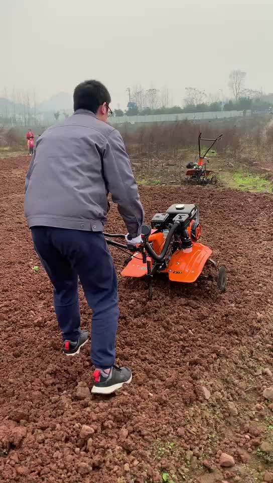 Wholesale Price 10hp Launtop Diesel Engine Farm Tillers Gt1350d Field