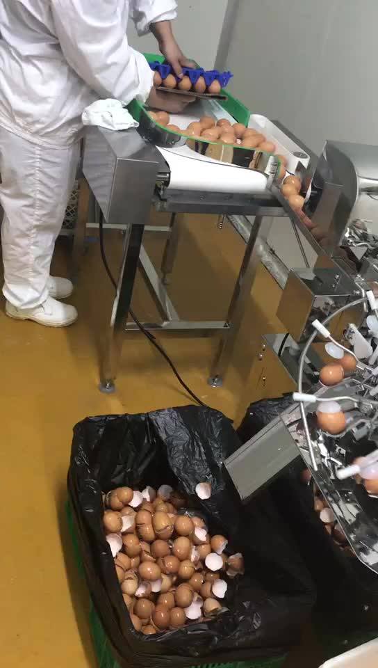 Industrial Automatic Large Scale Egg White And Yolk Separator Machine Buy Industrial Egg Yolk
