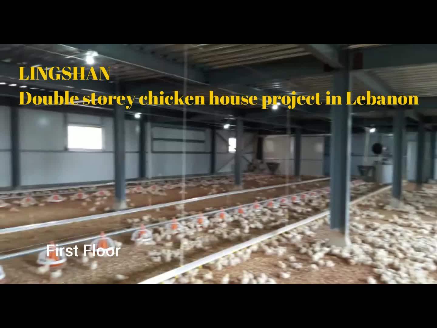 Cheap Chicken Poultry Shed Construction Steel Structure Mobile Poultry House In Ghana Buy