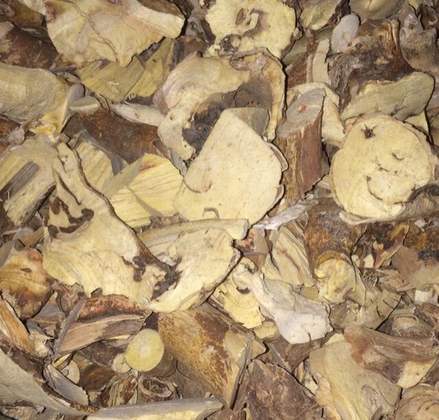 Guangdong River Source Farmhouse Wild No Sulphur Five Finger Hair Peach Soup Stock Seven Fingers Gross Peach Root 500g Pot Broth Wine Preferred
