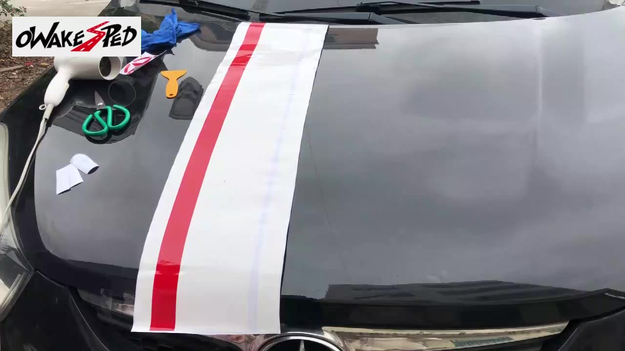 1 комплект наклейка на крышу автомобиля весь корпус