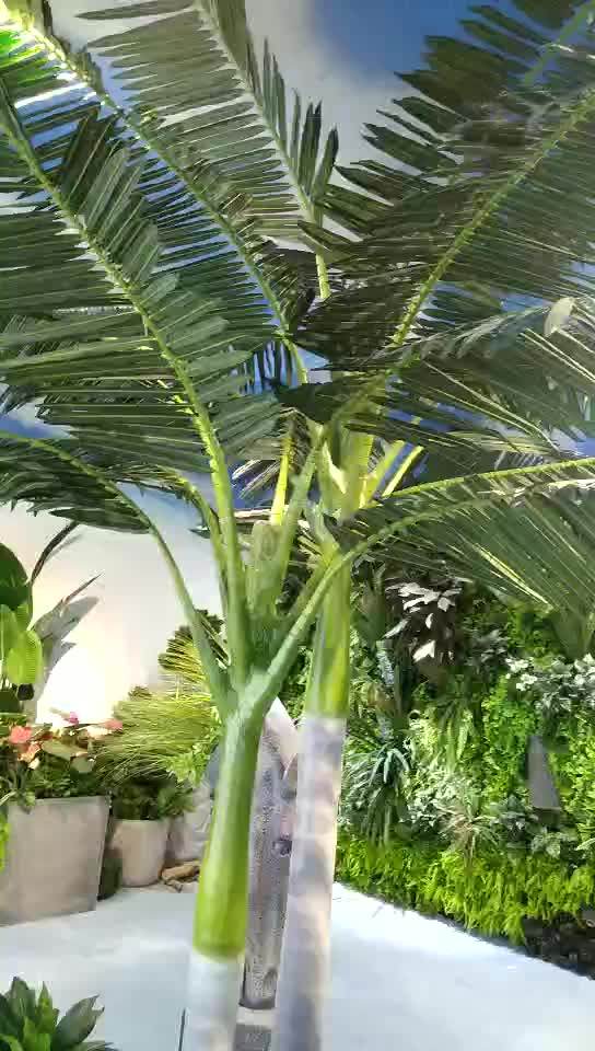 5m Outdoor Decorative Royal Palm Tree Fiberglass Roystonea Regia Palm