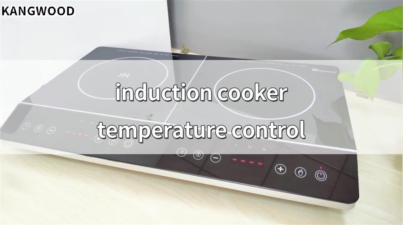 Sunte 2 Ring Induction Hob Ultra Slim Induction Cooker Induction