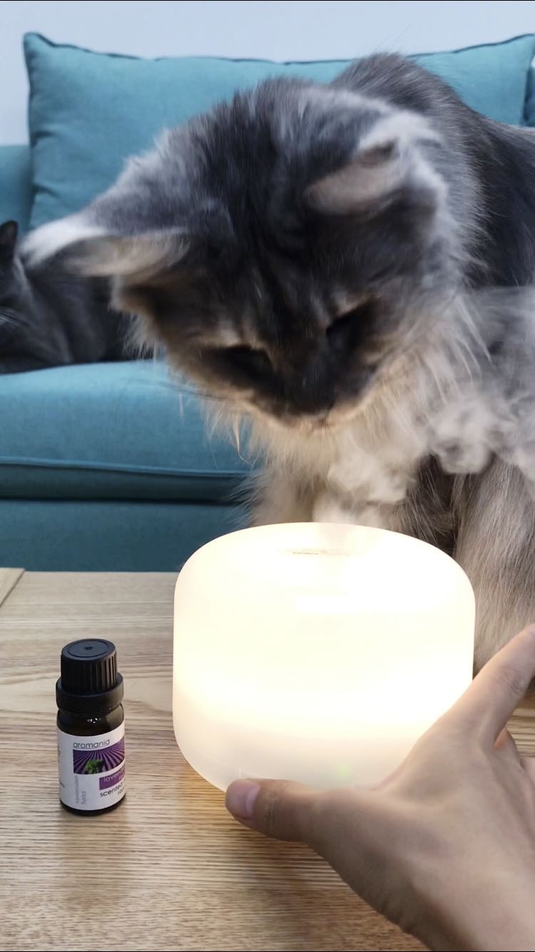 超声波纳米香薰空气加湿器质量怎么样是品牌吗，两大爆款使用效果评测_搜券