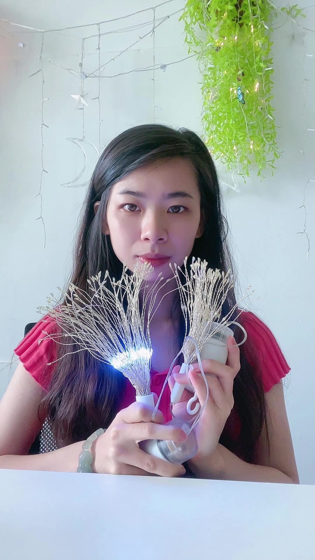 Battery Operated Firework Fairy Starburst Lights Holiday Time Light