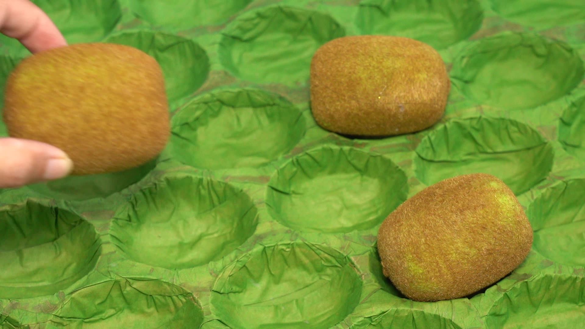 Wholesales Kraft Paper Inserts Fruit Kiwi Packing Alveoli Tray - Buy ...