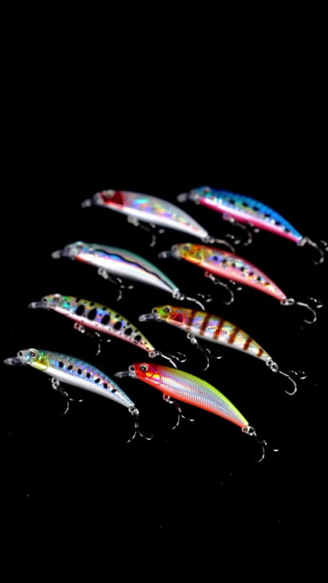 Hunthouse Saltwater Seabass Fishing Tackle Fishing Lure Sinking Hard