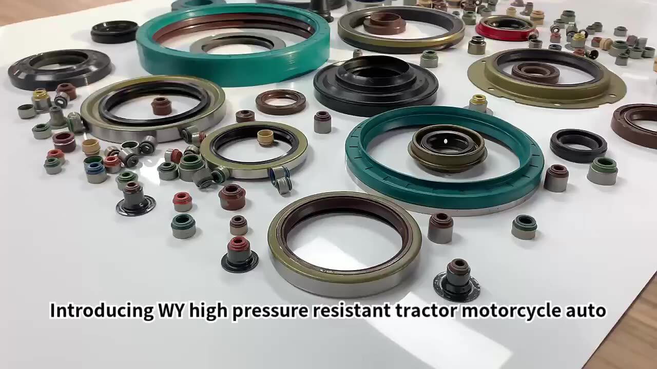 Different Type Oil Seal Tc Tb Sc Sb Dc Tcv Tcn Htc Htcl Power Steering
