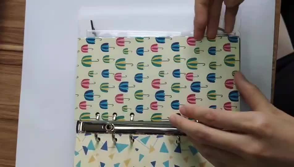 Custom Wholesale Transparent Binder Pocket Plastic Binder Organizer