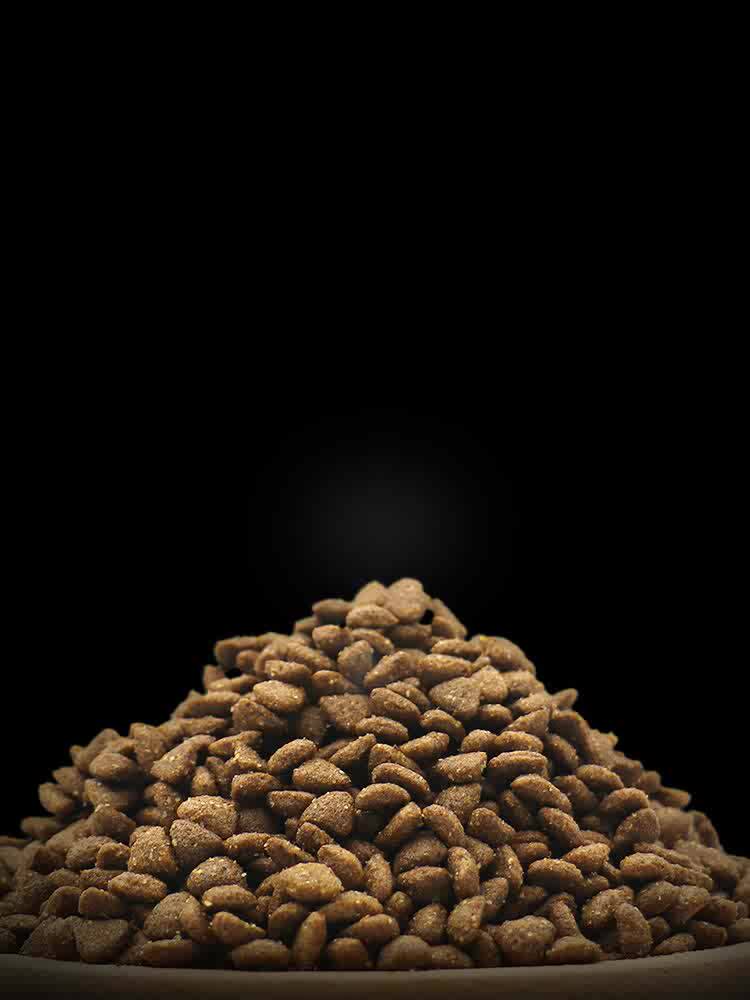 Hot Sale Pet Supplies Bulk Dog Food Wholesale Dog Food 2kg Buy Bulk Dog Food,Wholesale Dog