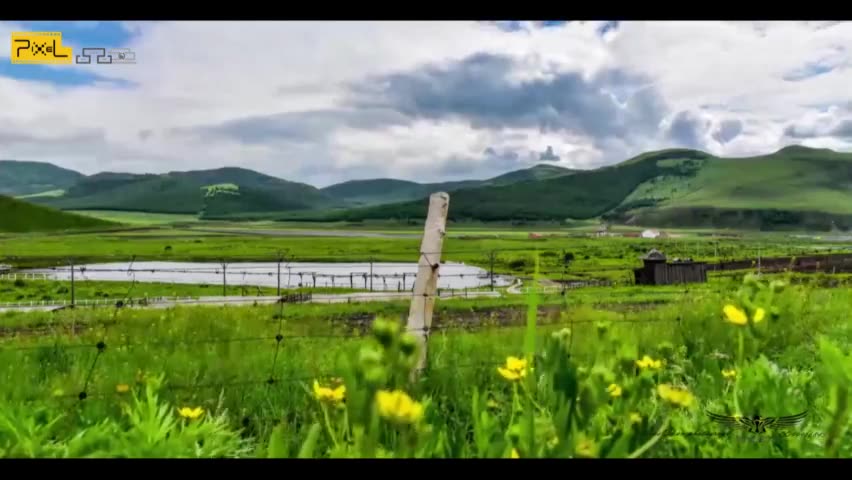 摄影达人都正在用的品色RC-201快门线！拯救手抖党#相机快门线介绍