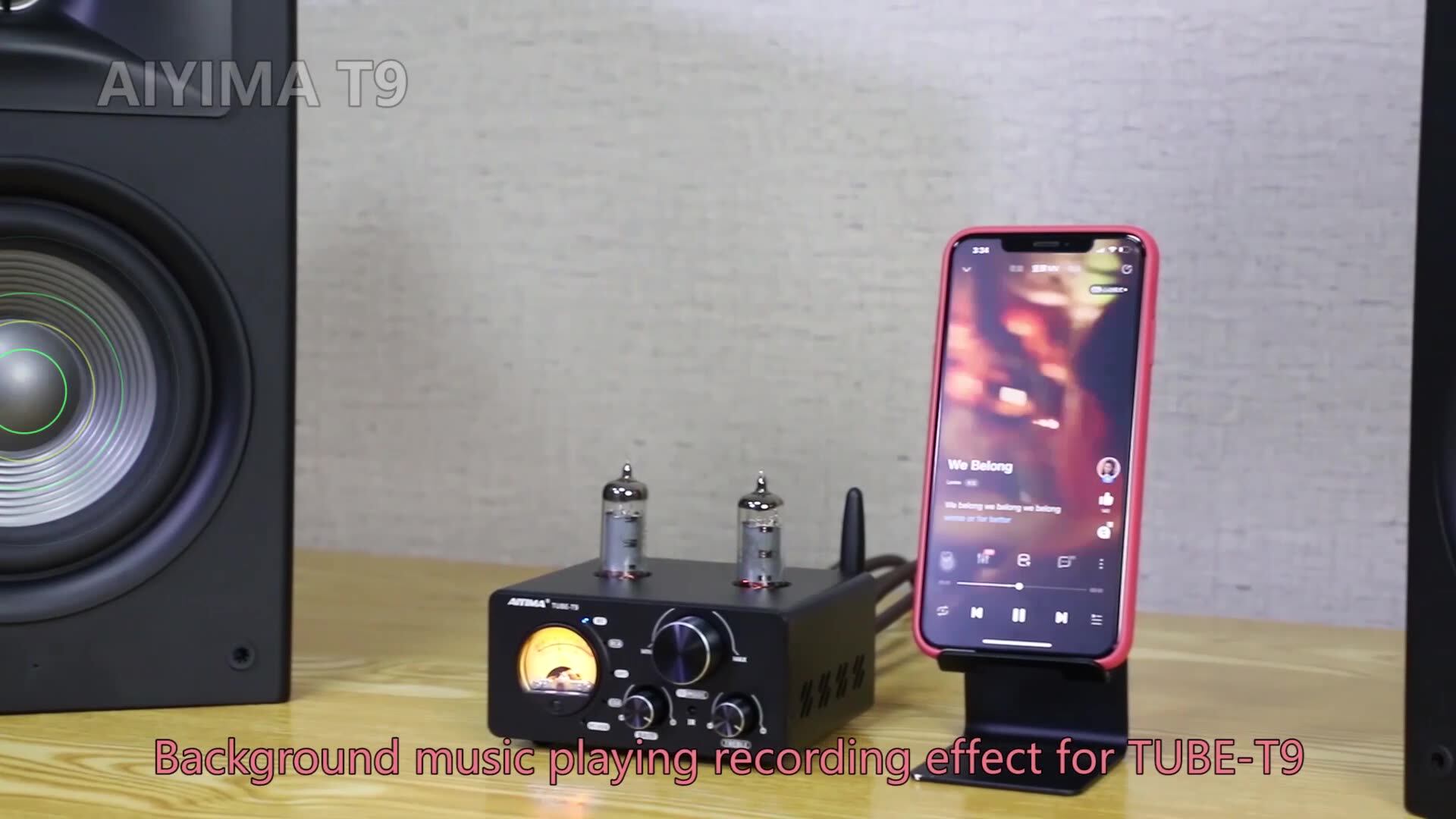 Aiyima T9 真空管アンプ USB-DAC Bluetooth 5.0