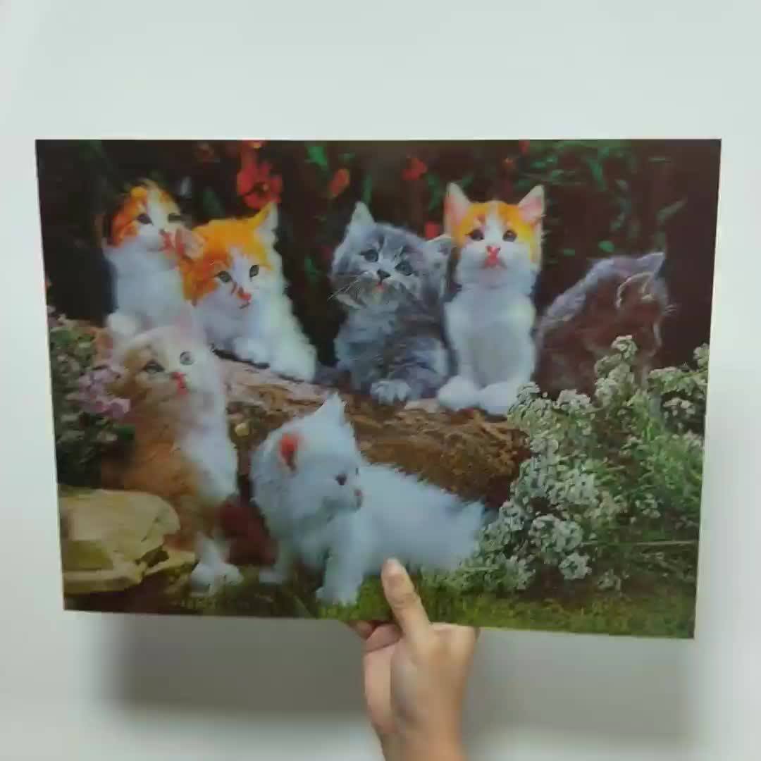 Frame Wall Hanging 3d Effect Lenticular Pictures Of Pet Dog And Cat For Home Decor - Buy Wall Hanging Picture 3d,Lenticular 3d Printing Pet,3d Picture Of Dog Cat Product on Alibaba.com