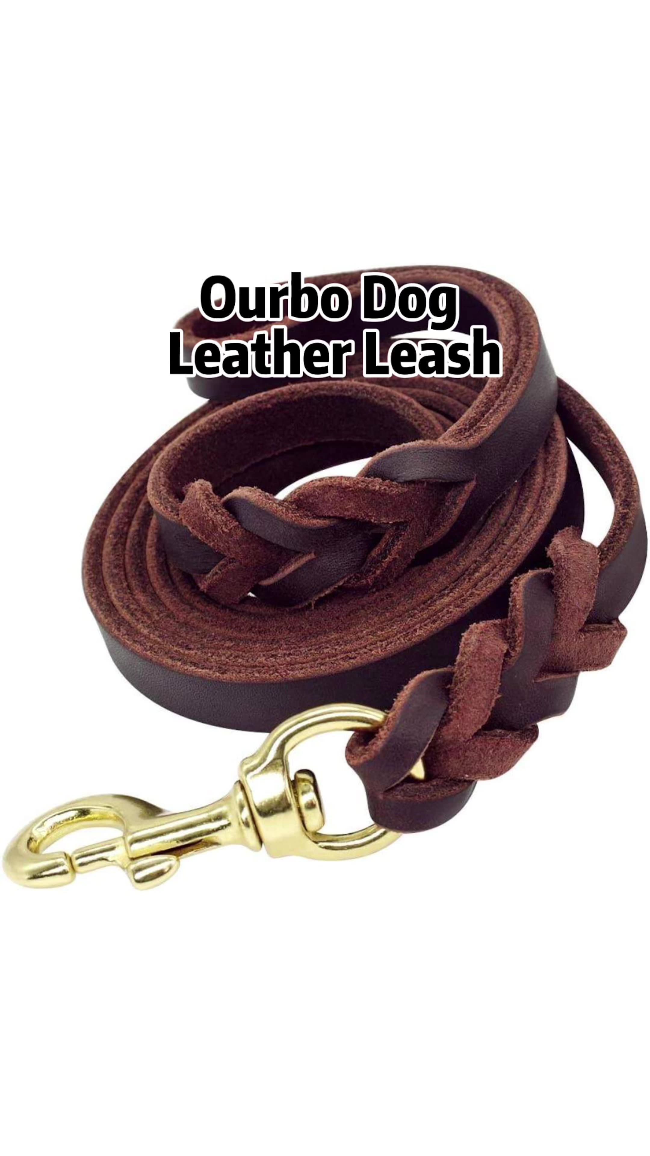 Soft K9 And Sturdy Running Real Leather Premium Pet Leash Lead Training