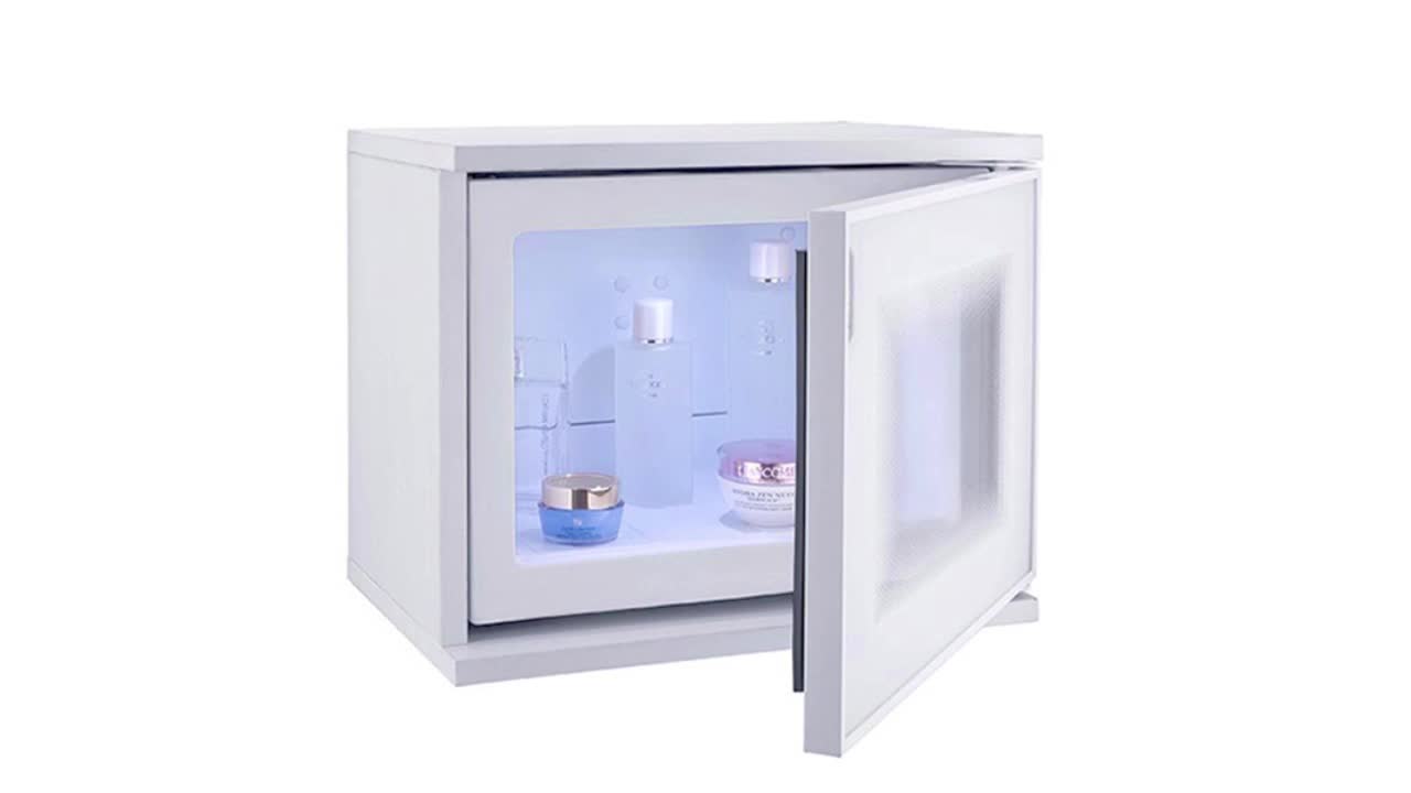 Bcg10 Thermoelectric Mini Cosmetic Refrigerator Buy Mini Cosmetic