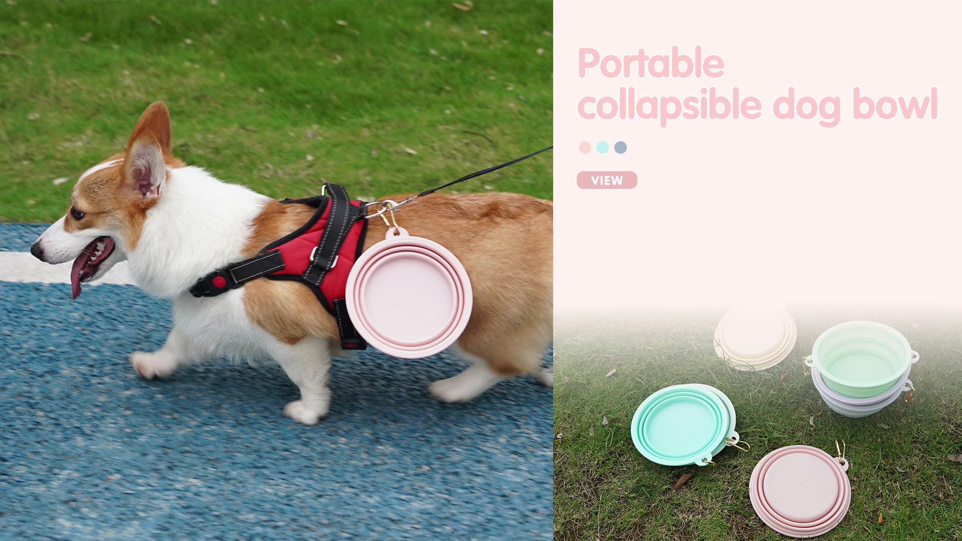 Shurui Pet Wholesale Customize Travel Pet Water Feeding Bowl Foldable