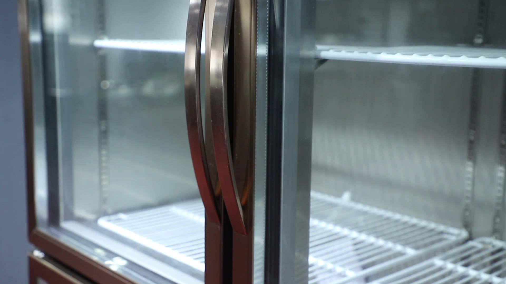 Commercial Double Glass Door Fridge Storage Refrigerators Showcase