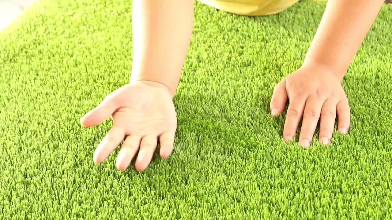 Artifical Lawn Soccer Field Carpet Artificial Ground Cover Plastic