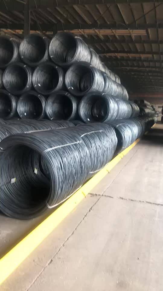 Hot Rolled Q195 Low Carbon Alloy Mild Ms Sae1006 1008 1010 1012 5.512mm Steel Wire Rod Price