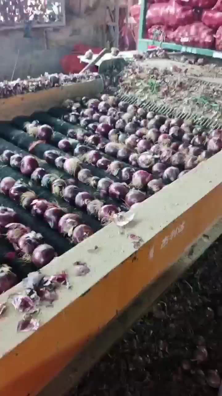 China Fresh Onions Price In Low (red Onion/yellow Onion) Sizes 47cm,58cm,812cm,Packing 10kg