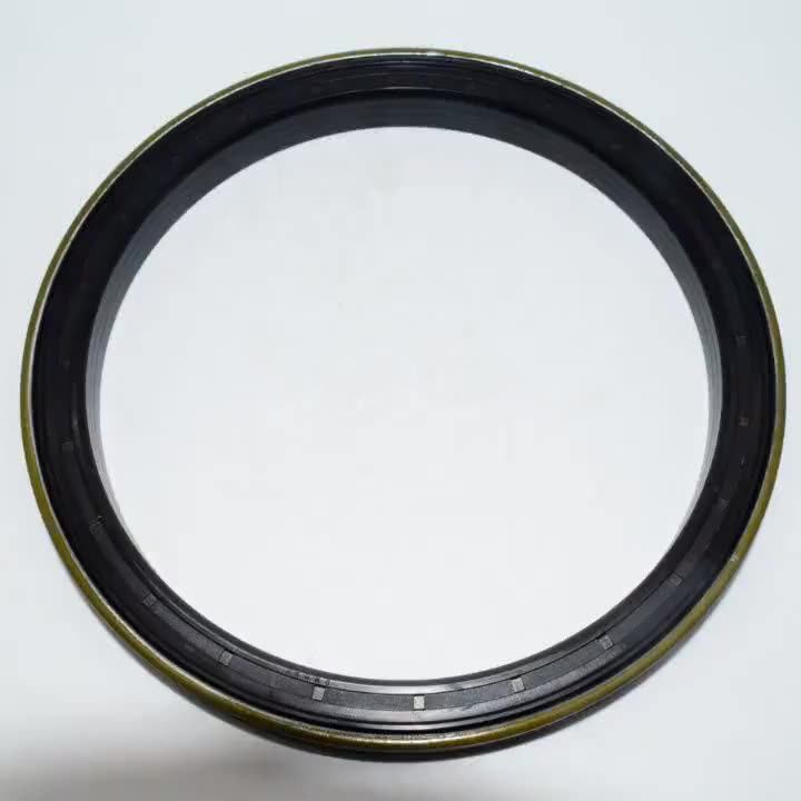 Dmhui Nbr Tractor Framework Oil Seal 56*80*13/14.5 Cassette Seal For 146668 And 81310061 Oil