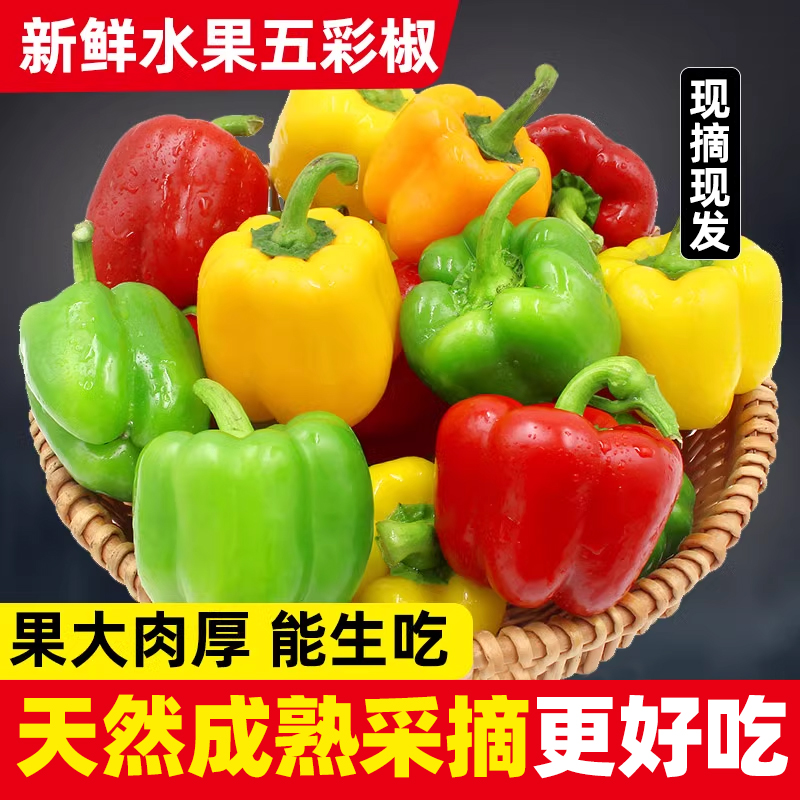 淘宝买菜 山东新鲜灯笼五彩椒水果甜椒 5斤 ¥23.8秒杀包邮 淘宝买菜 山东新鲜灯笼五彩椒水果甜椒 5斤 ¥23.8秒杀包邮