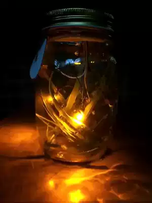 Super butterfly Romantic butterfly jar Glass imitation firefly jar Lover gift luminous bottle Sunshine jar Luminous jar Moonlight jar