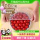 妙然夏季保鲜膜套保鲜套保鲜罩食品级冰箱饭菜水果保鲜袋300只