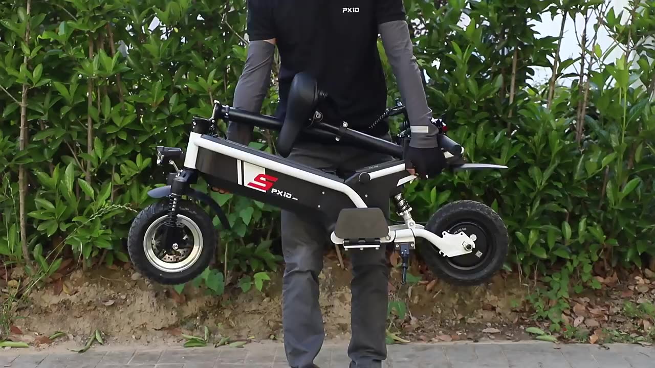 PXID Electric Scooter