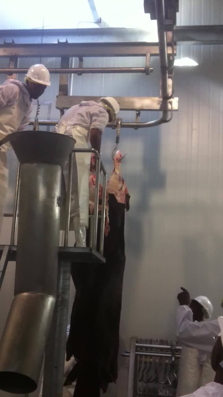 Customized Stainless Steel Blood Collection Tank In Cattle Slaughtering Bleeding Plant Buy