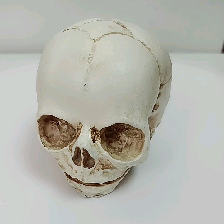 Skull Decor Halloween 2022 2022 Halloween Decoration Resin Skull Candy Crafts Personality Room Decoration Buy Halloween Decoration Resin Skullcandy Crafts Room Decoration Product On Alibaba Com