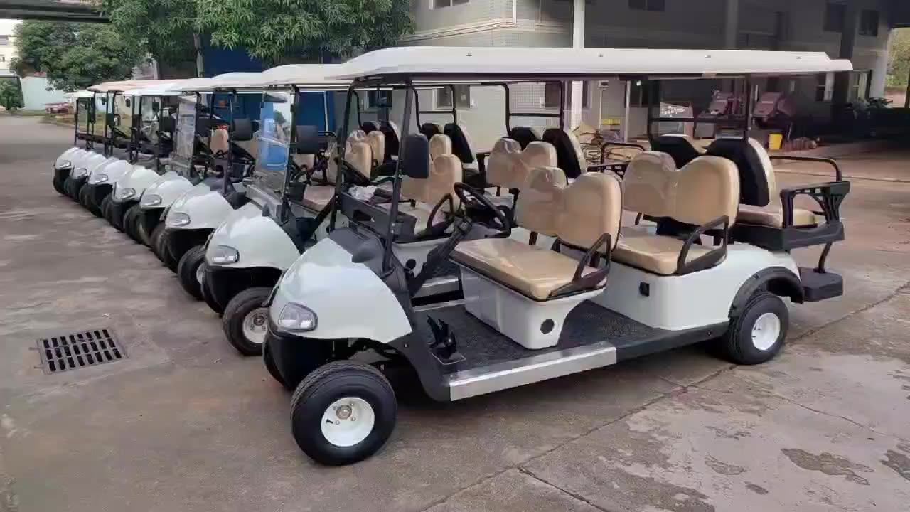 8 Seats Seater Persons Passengers Electric Golf Cart Japan Brand 3.8kw