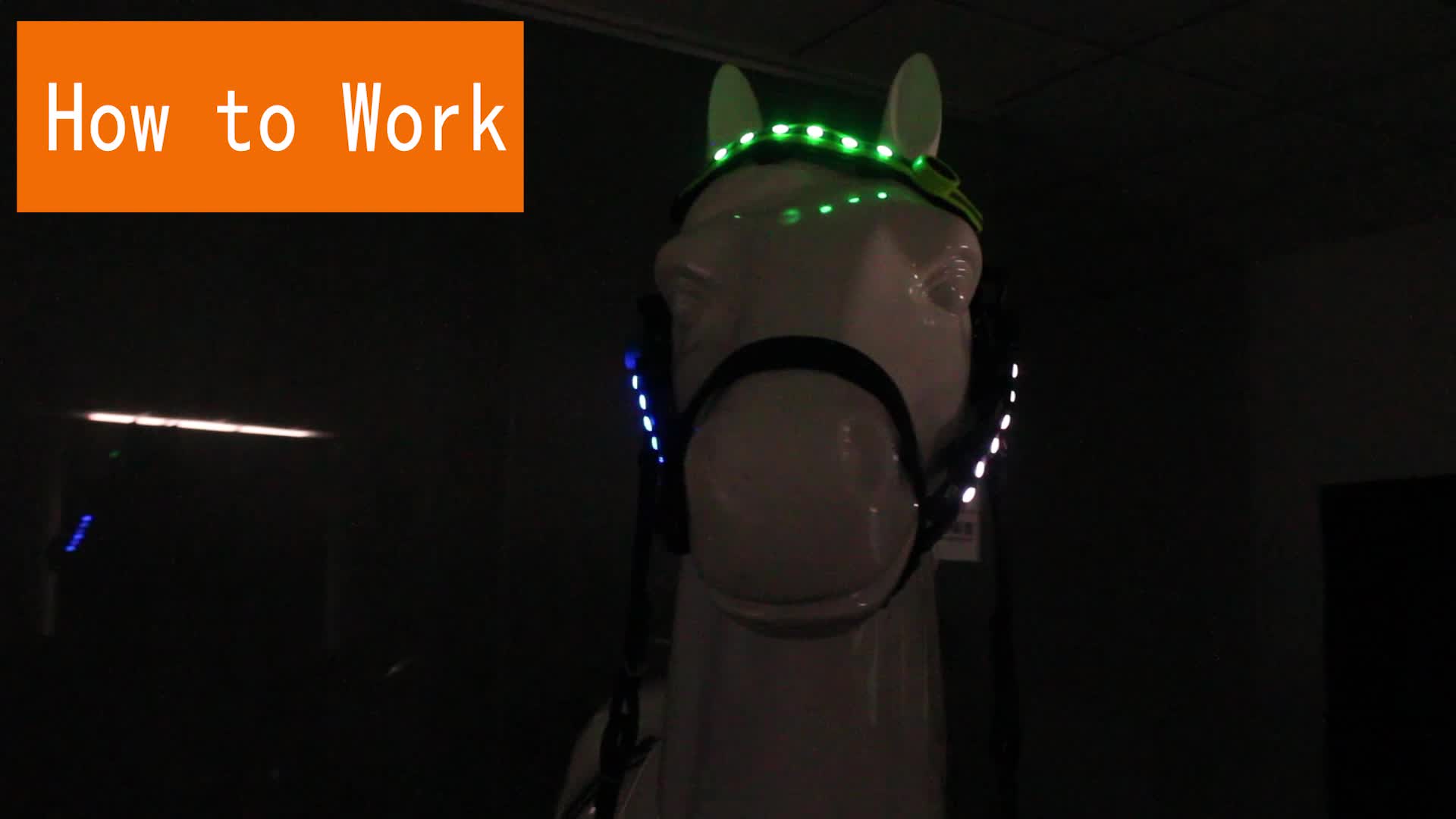 Led Light Horse Head Band Led Horse Head Straps Riding Show Buy Led
