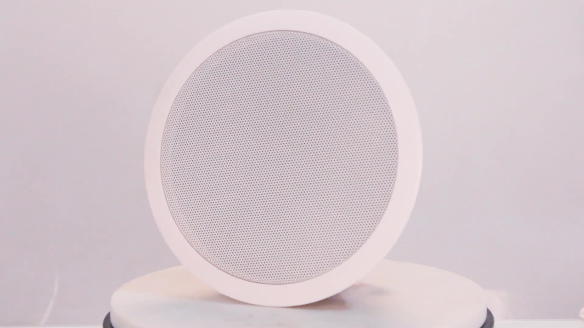 Home 6.5 Inch Full Range In Ceiling Flush Mount Enclosure Speaker