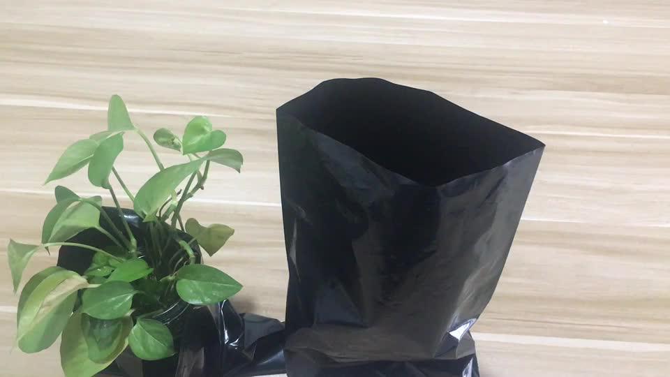 Black Plastic Planting Tree Nursery Grow Bags,Ecofriendly Cultivation