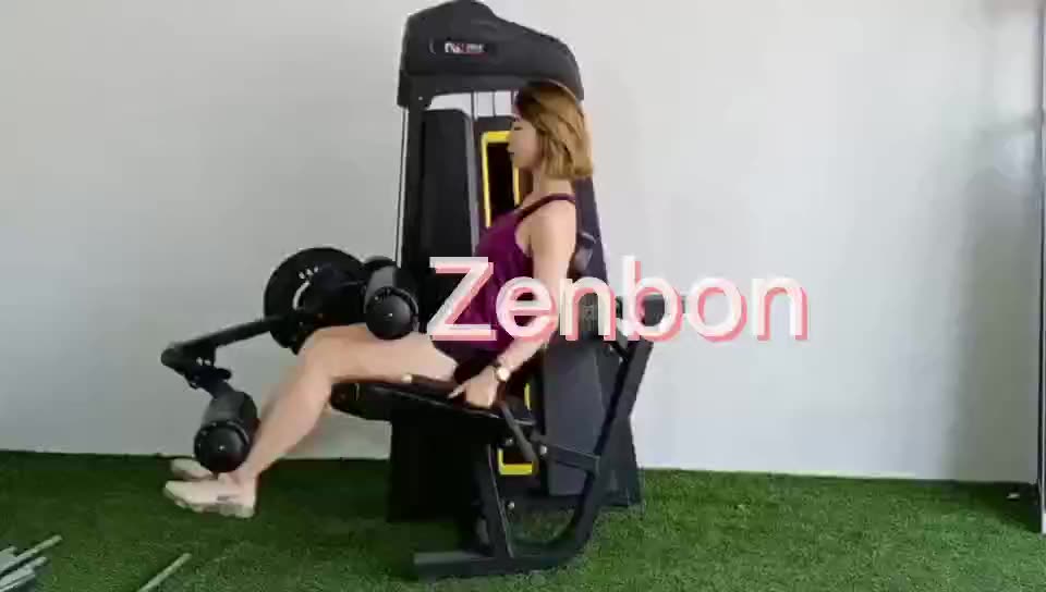 Тренажер Leg Extension Paramount