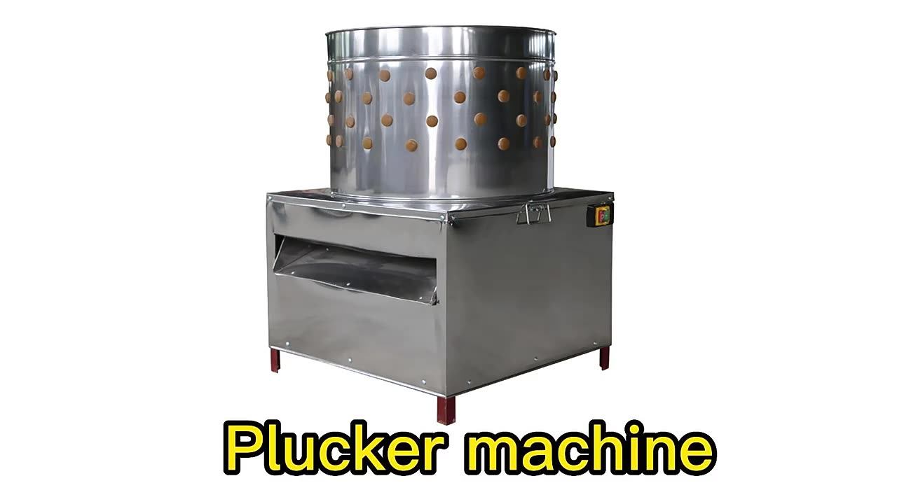 Hhd Small Size Sd50 Poultry Cheap Stainless Steel Chicken Quail Plucker