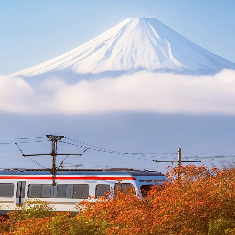 上海顺丰日本JR PASS火车全国周游券7日jrpass，开启你的关西北海道自由行之旅！✈️🇯🇵