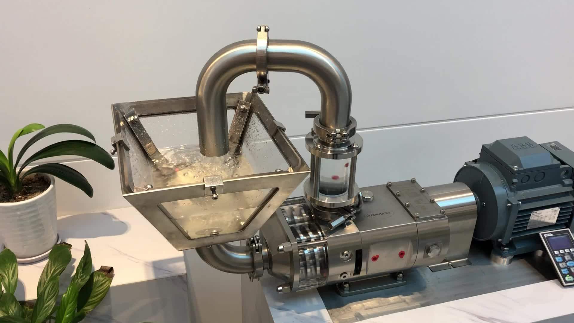 Donjoy Food Grade Gas Liquid Solid Mixing Double Screw Pumps Sanitary