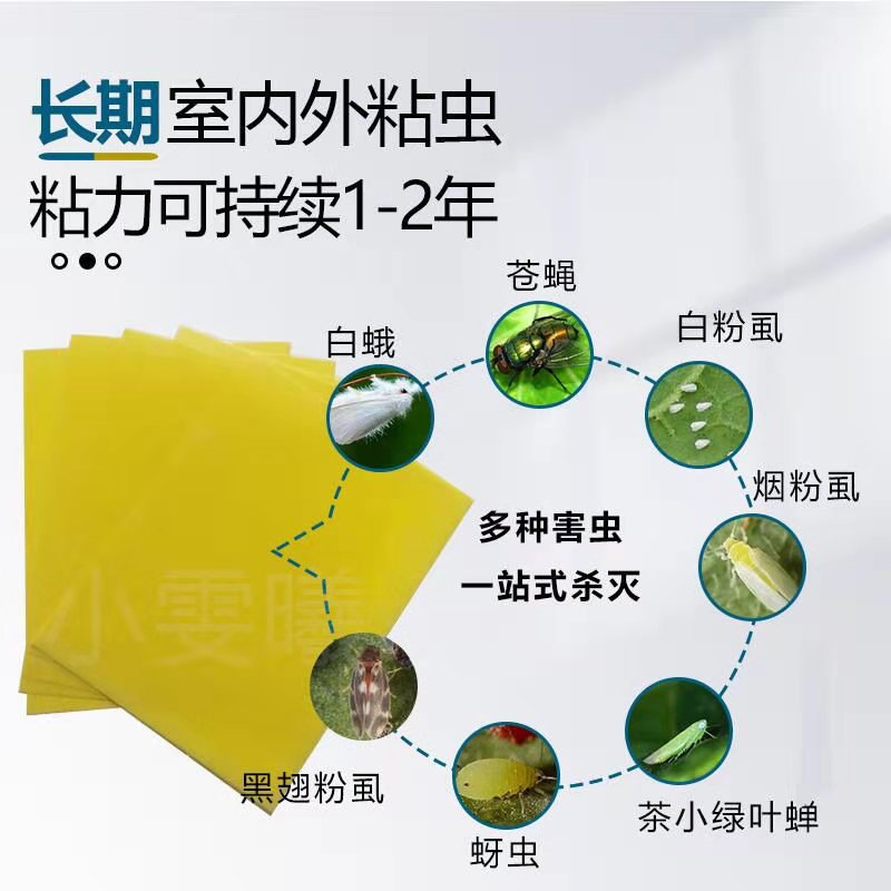 光合虫控的LOGO