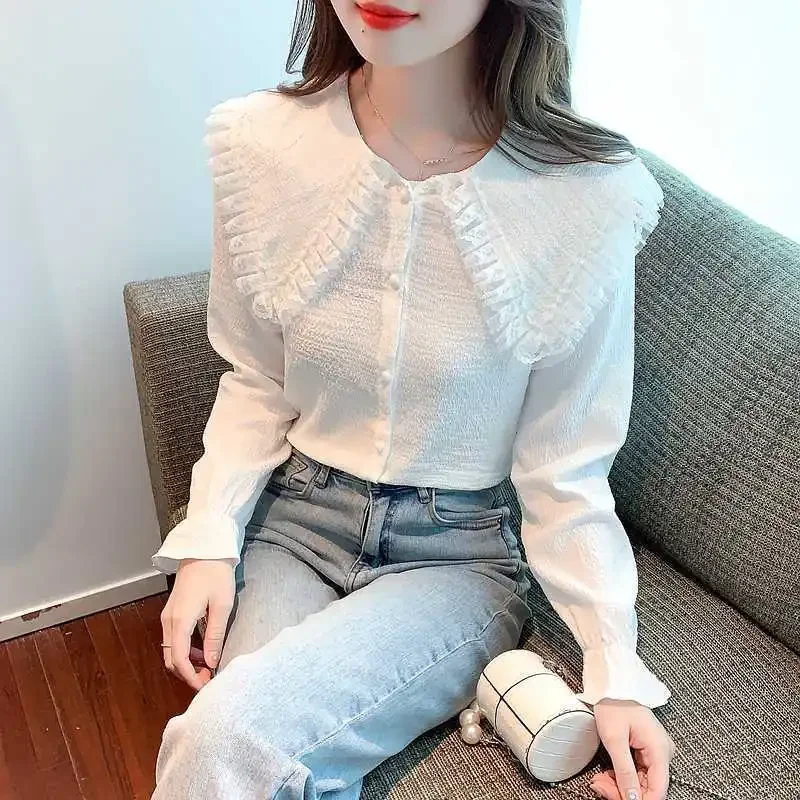 Design Sense Niche White Long Sleeve Shirt Women's Early Spring New This Year's Popular Beautiful Top Chic Unique Small Shirt
