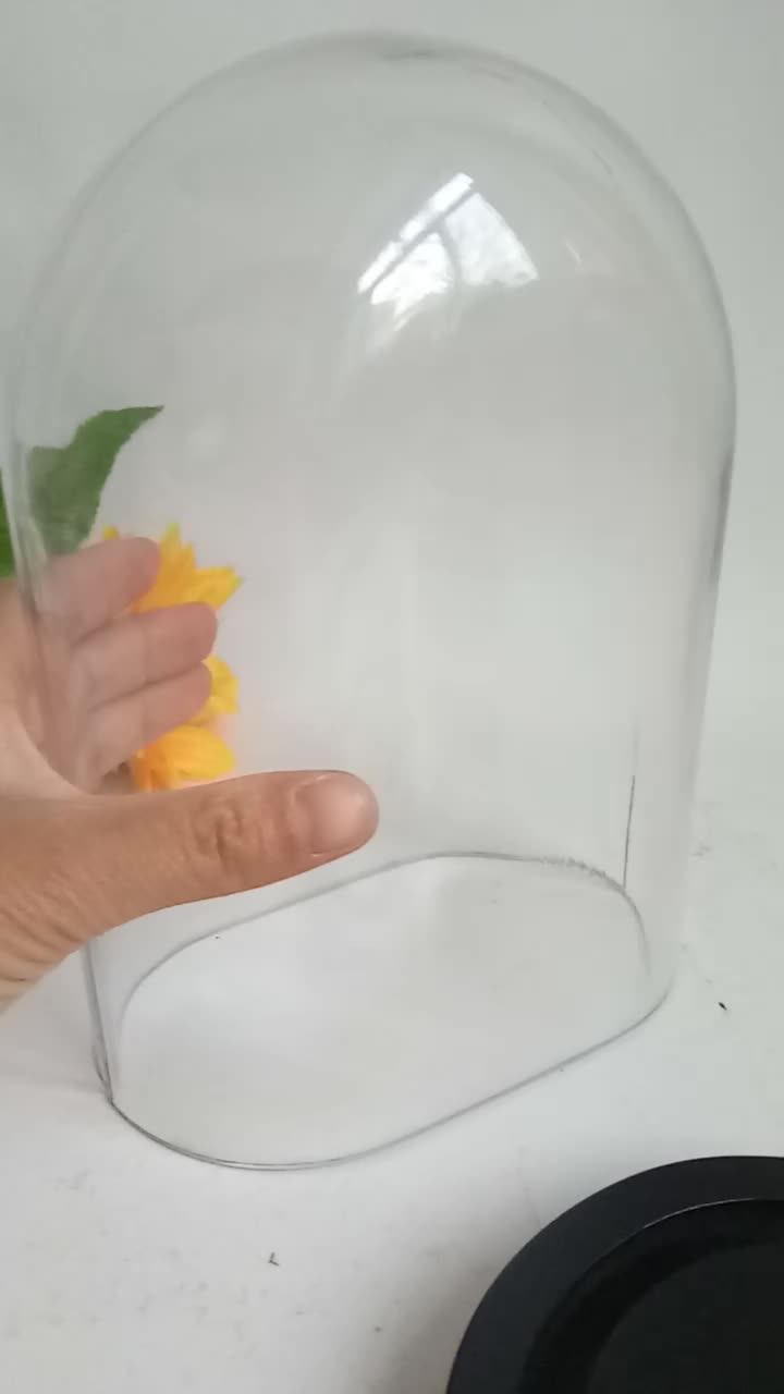 20cm,25cm,30cm Height Flower Glass Dome Oval Dome With Wooden Base