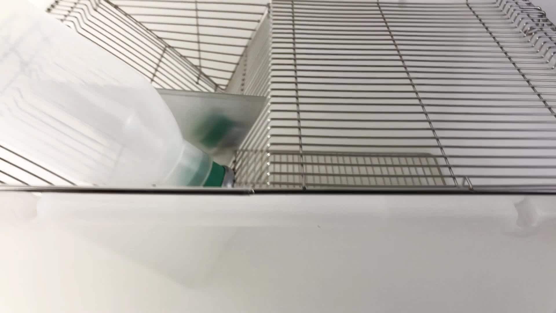 2015 Hot Sell Mice Breeding Cage With Stainless Steel Shelf Rack And Pp