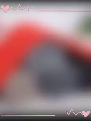 Autumn and winter new counter men's pure Kashmir wool pants Siping double layer warm waist men's wool pants