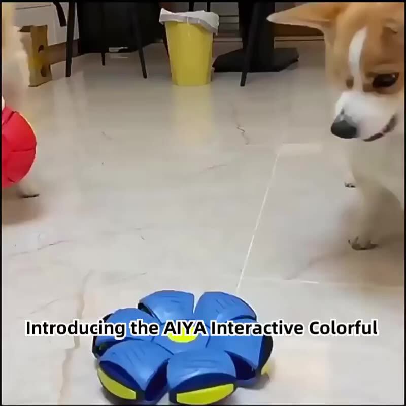 Latest Interactive Colorful Lightup Flying Saucer Ball Pet Chew Toy