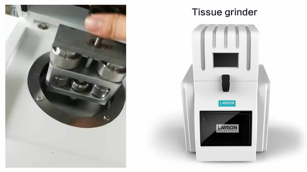 Dhfstprp24 Multisample With Ball Mill Tissuelyser Samples Tissue