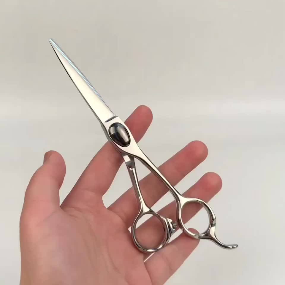 Japanese Steel Professional Salon Hair Cutting Shears Barber Scissor